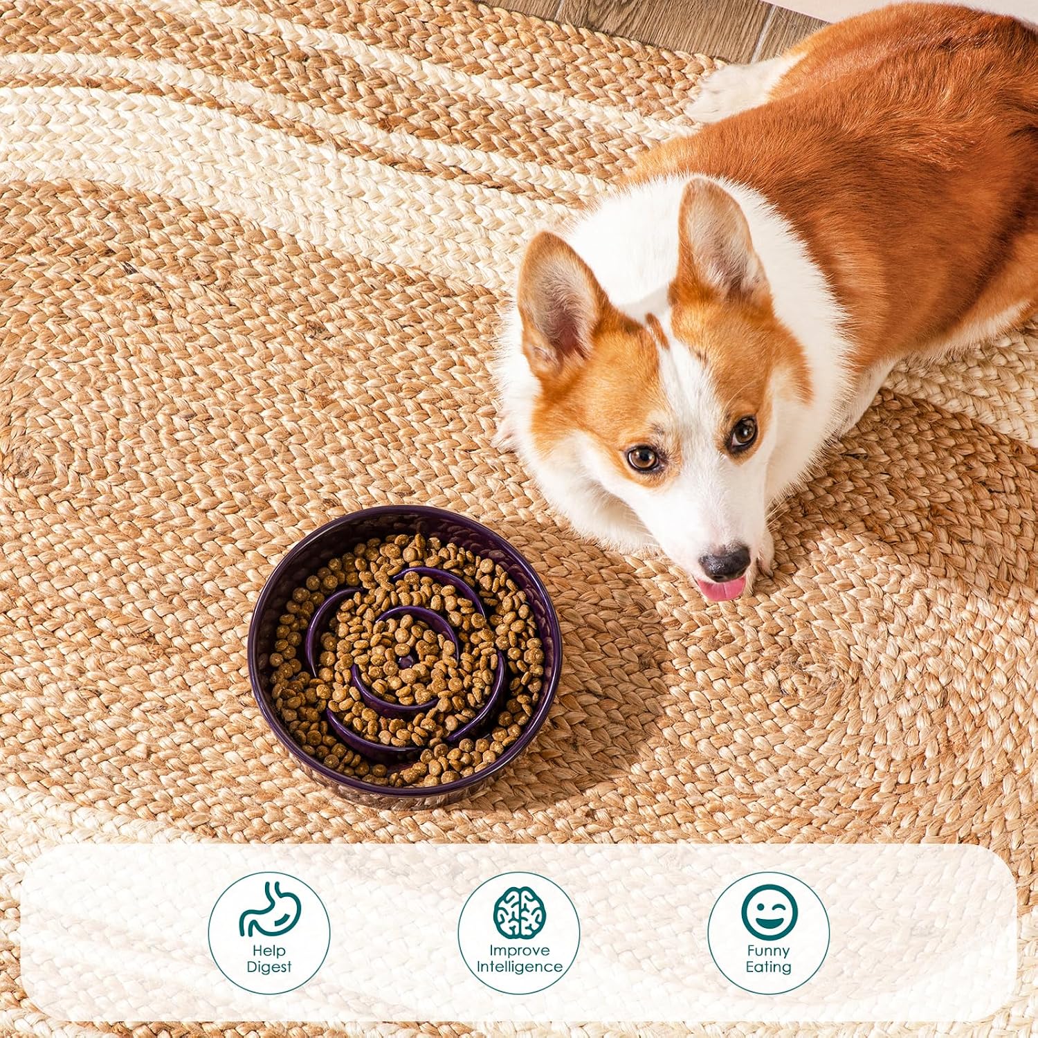Detalle de vancasso Ceramic Slow Feeder Dog Bowl
