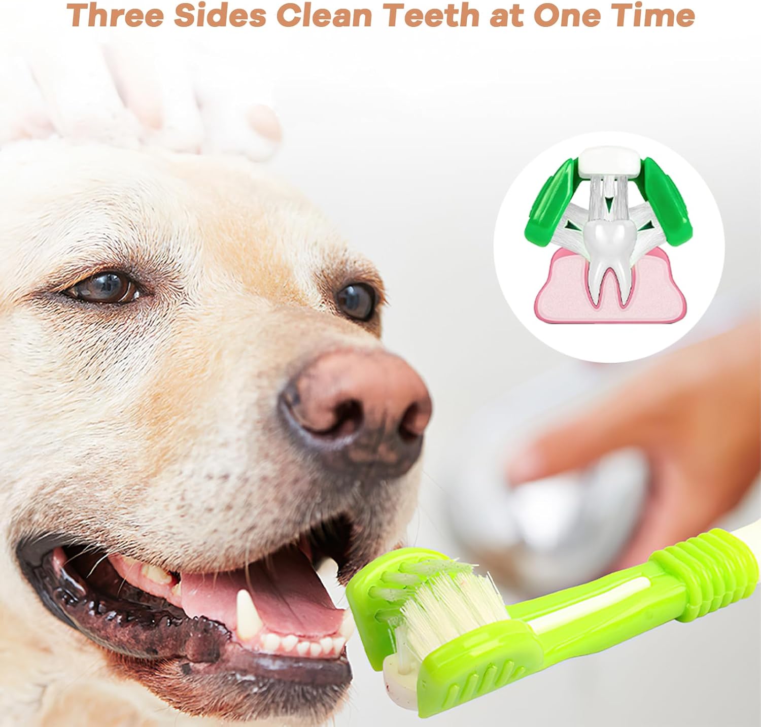 Thumbnail 5 de Vinuwu Dog Toothbrush Set