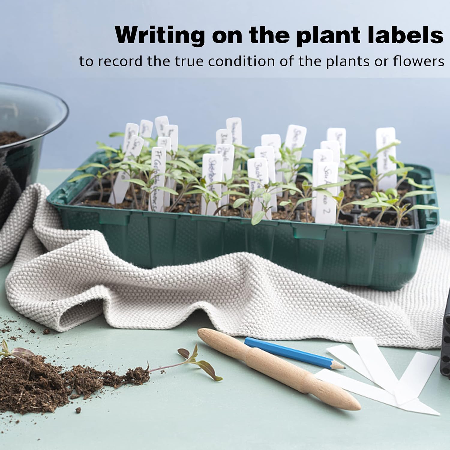 Thumbnail 6 de TDHDIKE 4-Inch Plastic Plant Labels, 300-Pack with Permanent Marker