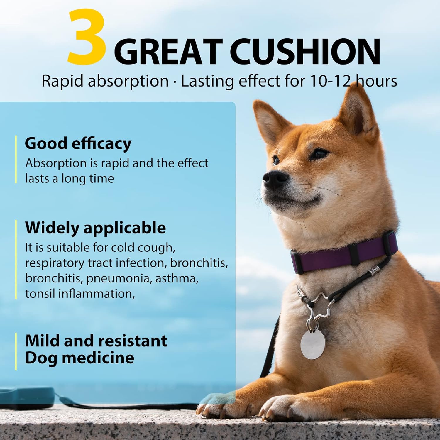 Detalle de Kennel Cough Treatment for Dogs (plant-based drops with ginger, marshmallow root, mullein & elderberry)