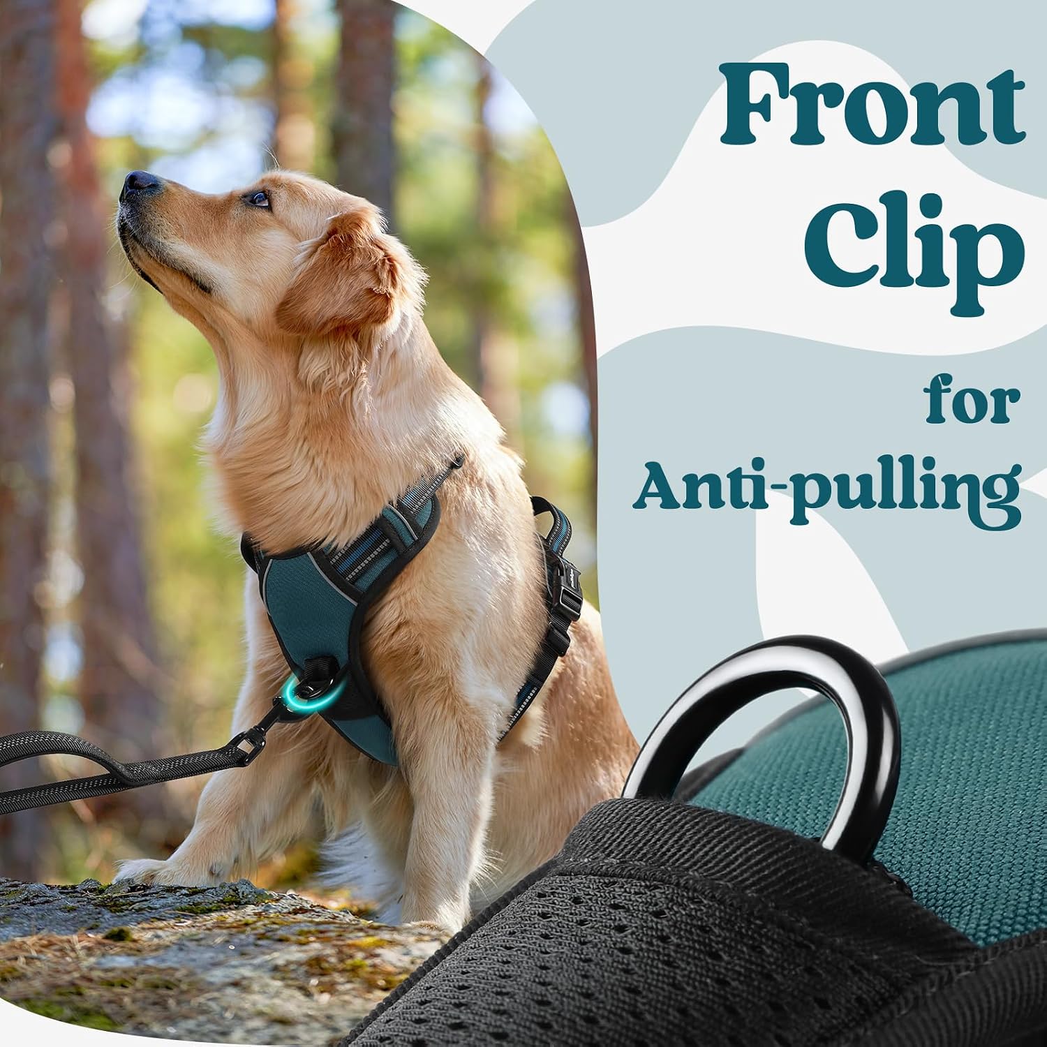 Thumbnail 6 de rabbitgoo Large Dog No-Pull Harness (Dark Green) with 2 Leash Clips, Adjustable Soft Padded Vest, Reflective Handle (M)