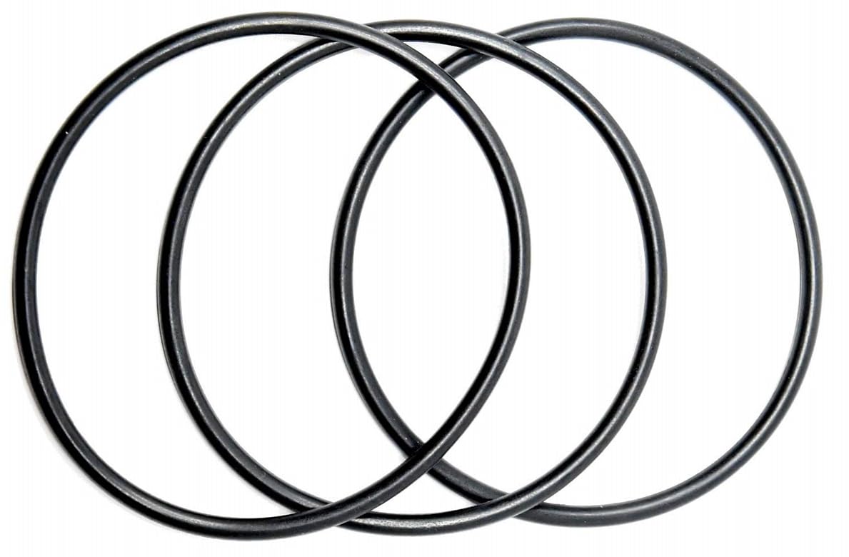 Detalle de OR-250 Water Filter Housing O-Ring