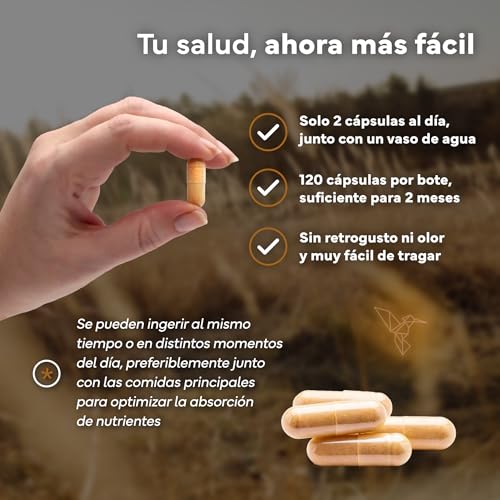 Detalle 1 de Ashwagandha KSM-66 💊 Pura con Pimienta Negra - 120 Cápsulas