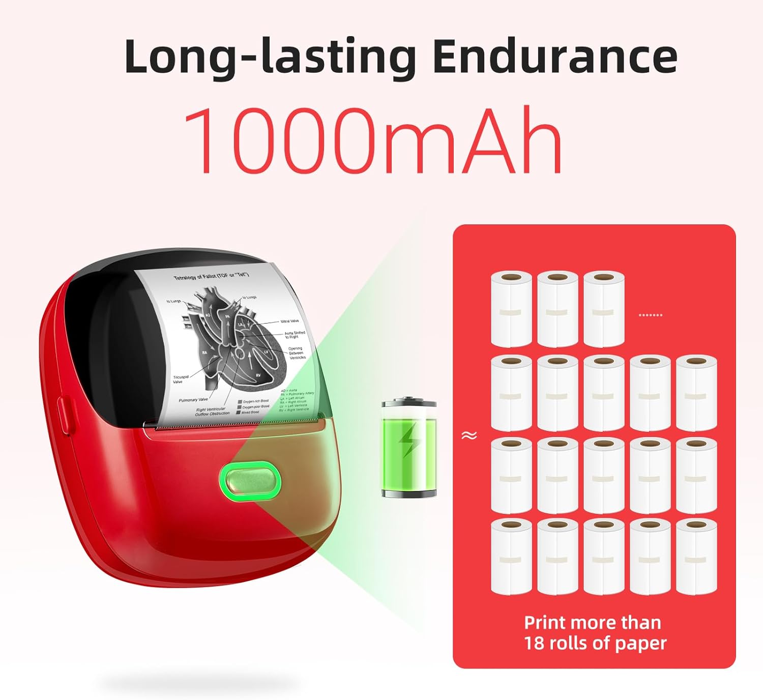 Thumbnail 6 de ORGSTA S002 Etikettendrucker 300 DPI 🖨️