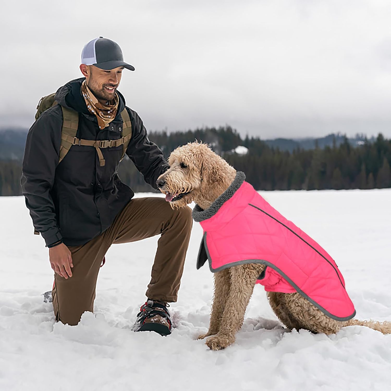 Detalle de Fragralley Dog Coat, 3XL
