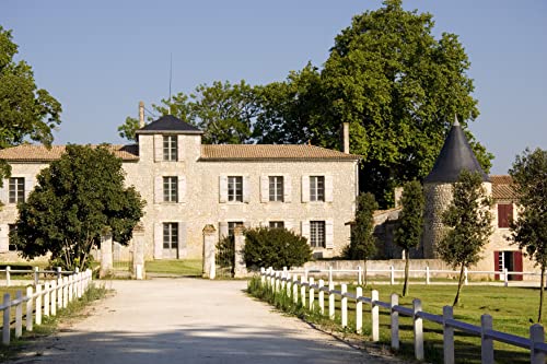 Thumbnail 3 de MAGNUM Château Tour Prignac 1,5 L vino tinto 🍷