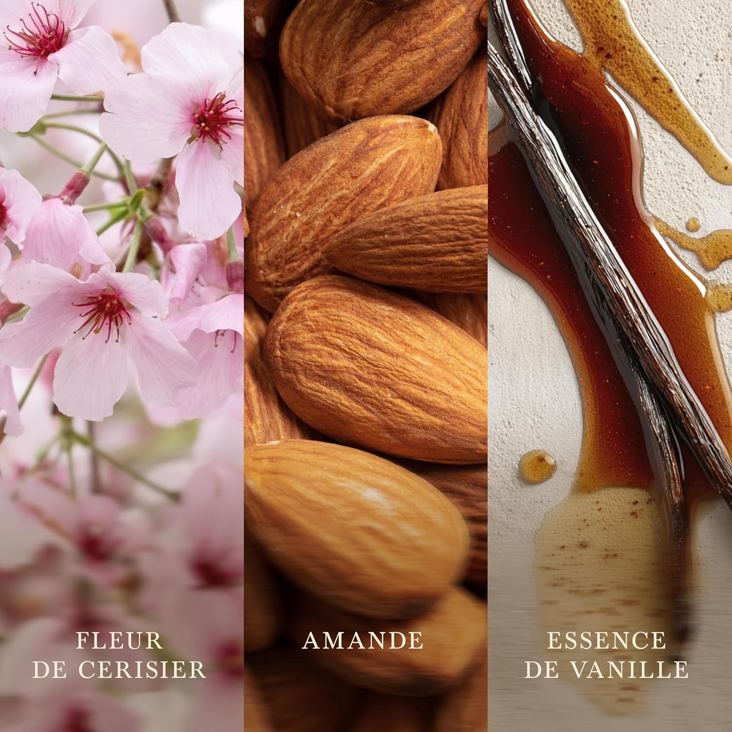 Detalle de WoodWick Bougie Moyenne Fleur de Cerisier & Vanille – Cadeau élégant pour femme