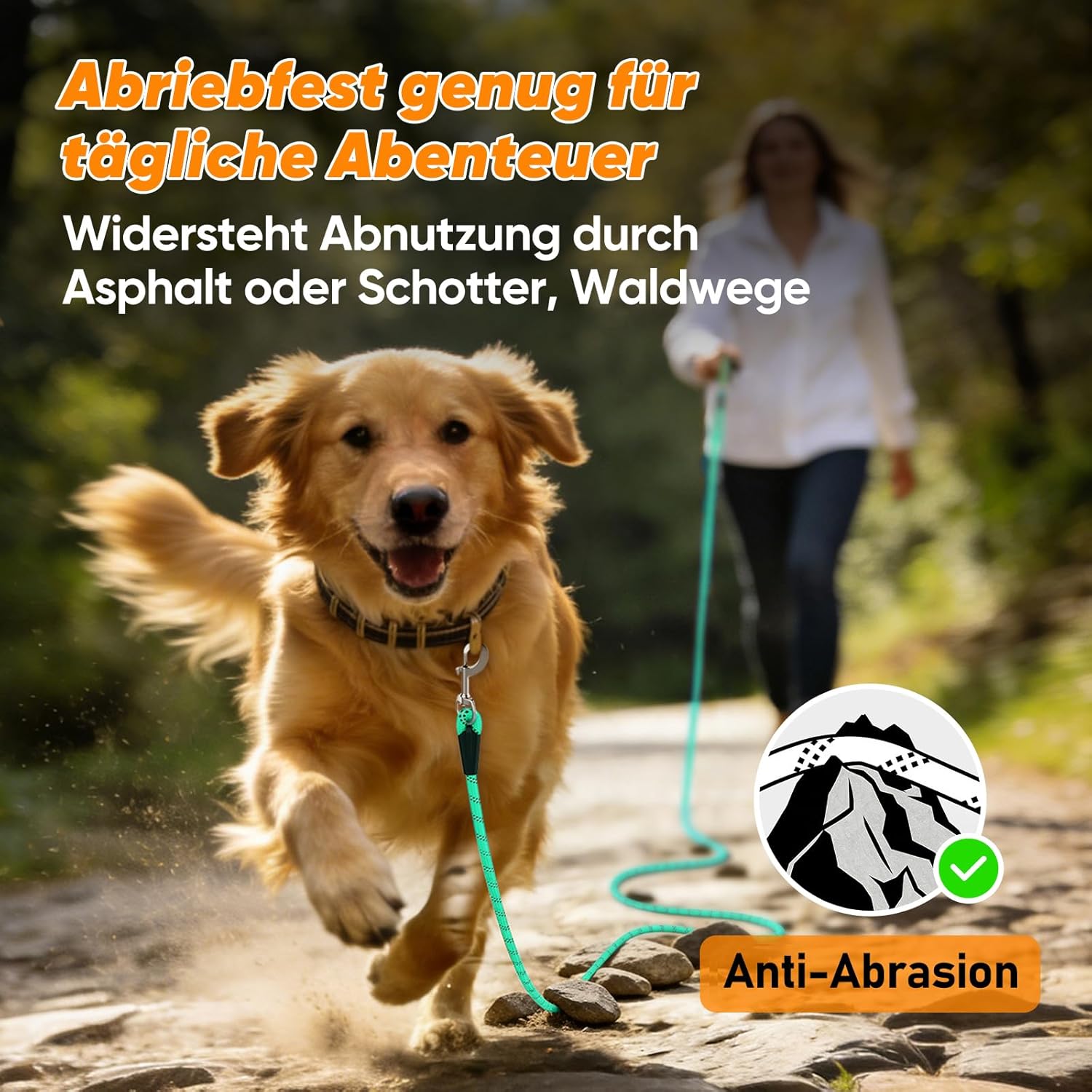 Thumbnail 3 de Aystkniet Schleppleine für Hunde – Laufleine mit Doppelwirbelhaken, Längen von 5 bis 30 m