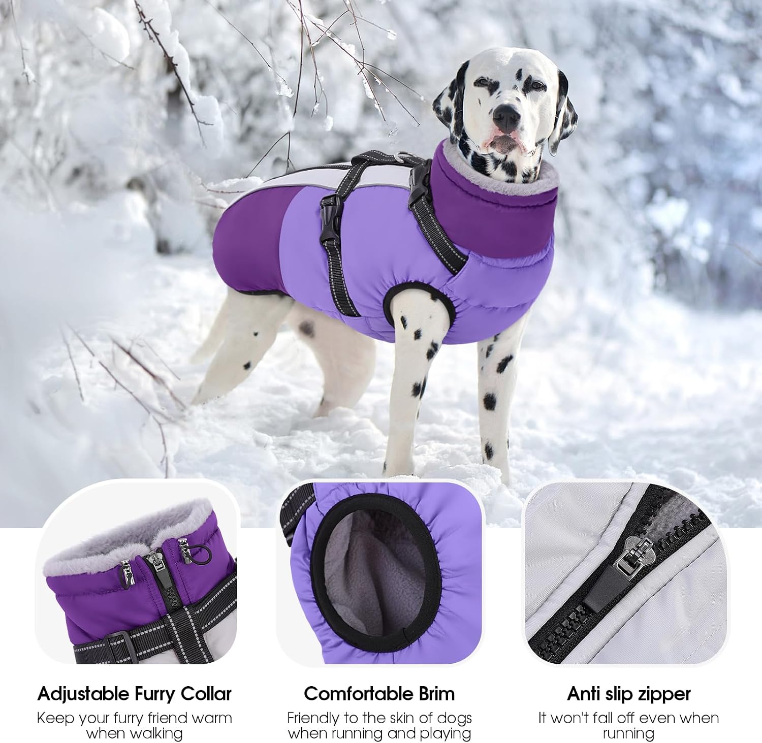 Detalle 2 de SUNFURA Dog Coat, Size S