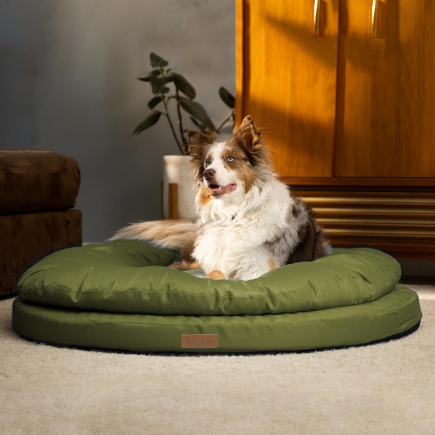 Detalle de ClevaHome Cuccia Ortopedica per Cani — Letto Rotondo a Doppio Strato, Tessuto Idrorepellente, Fondo Antiscivolo e Copertura Lavabile (Verde Oliva, L)