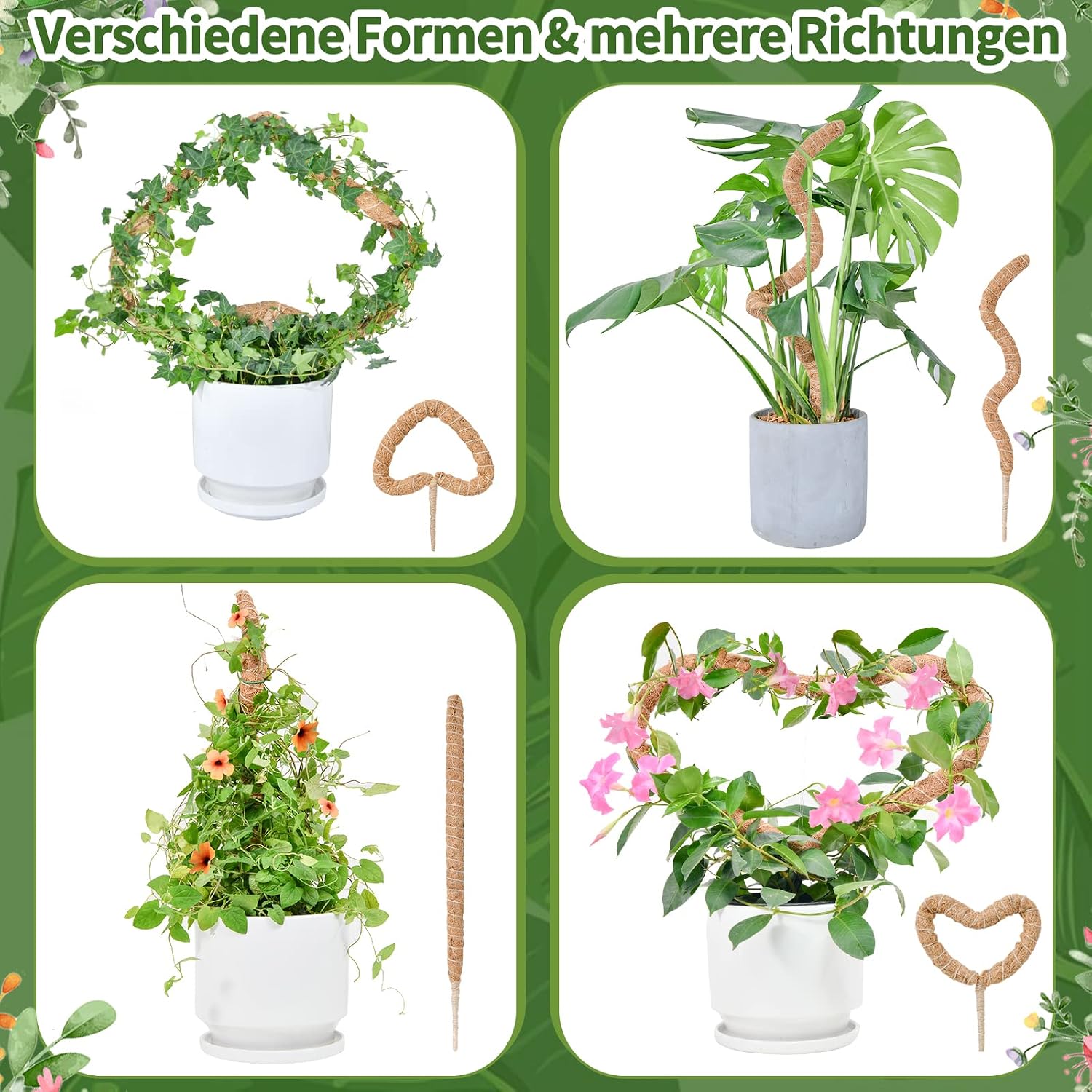 Detalle de Moosstab Monstera von SproutMaven – 2 × 60 cm biegsamer Kokosstab mit Zubehör