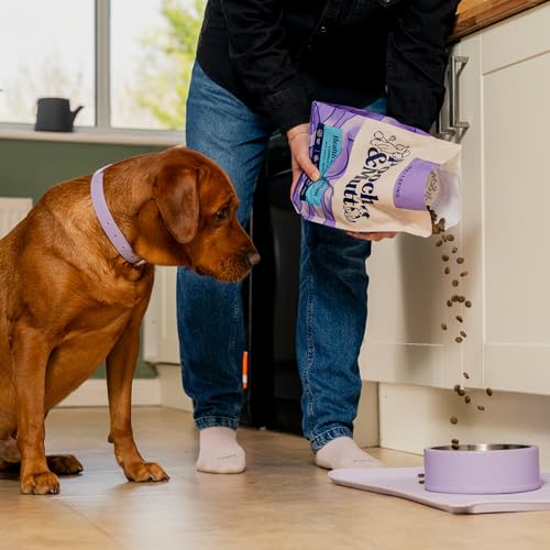 Thumbnail 2 de Pooch & Mutt Health & Digestion Complete Dry Dog Food (Grain Free) – Salmon & Sweet Potato, 2kg