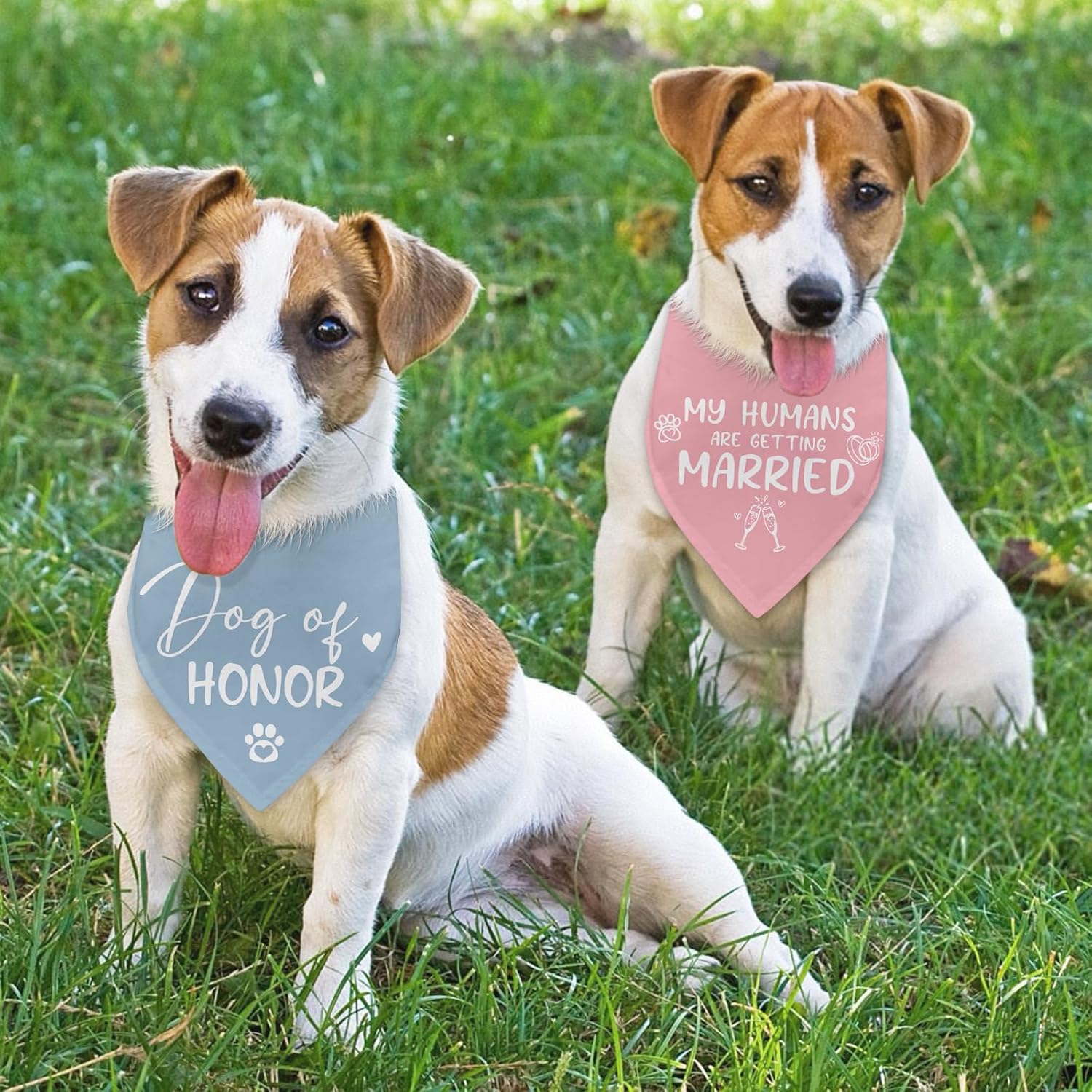 Detalle de Dog Wedding Bandanas, 2-Pack