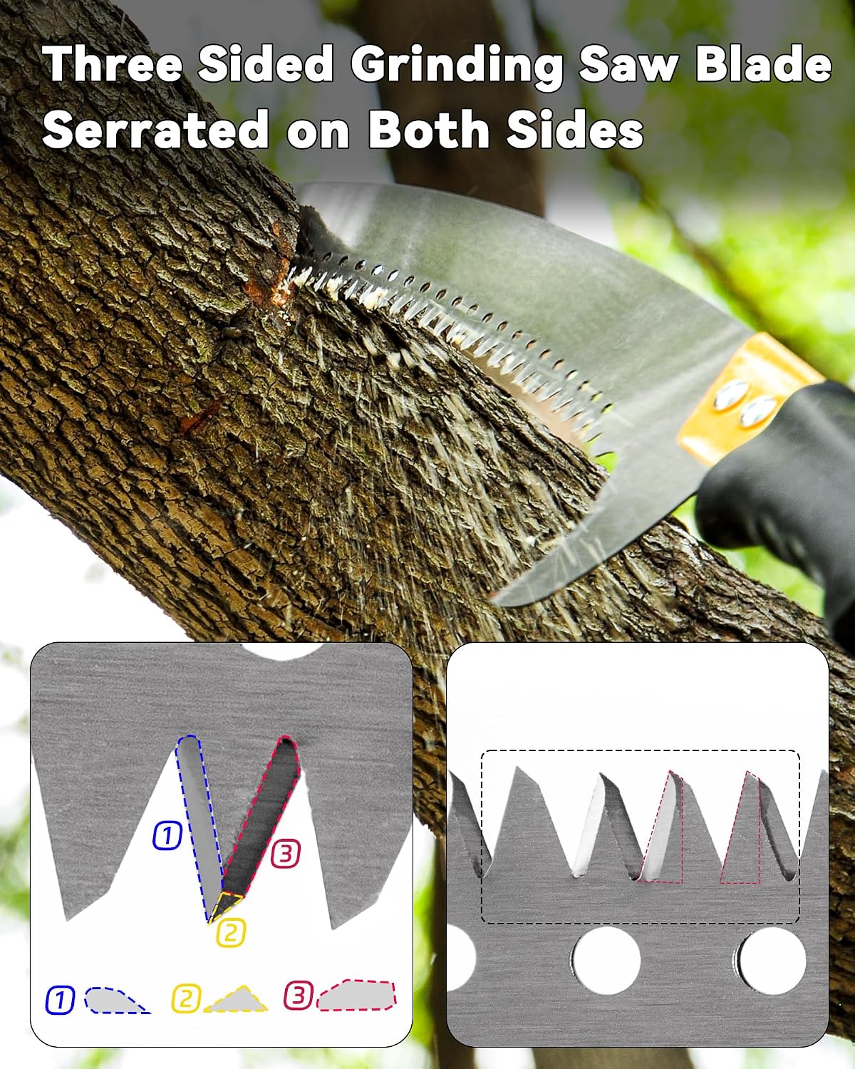 Detalle de BlumeTrec pole saw 434cm for pruning
