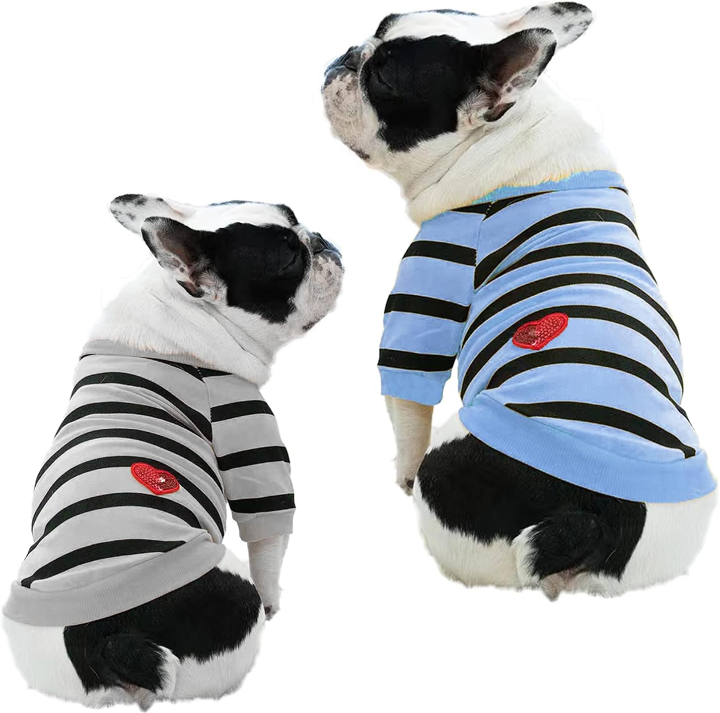 Detalle 2 de Dog Sweater in XL