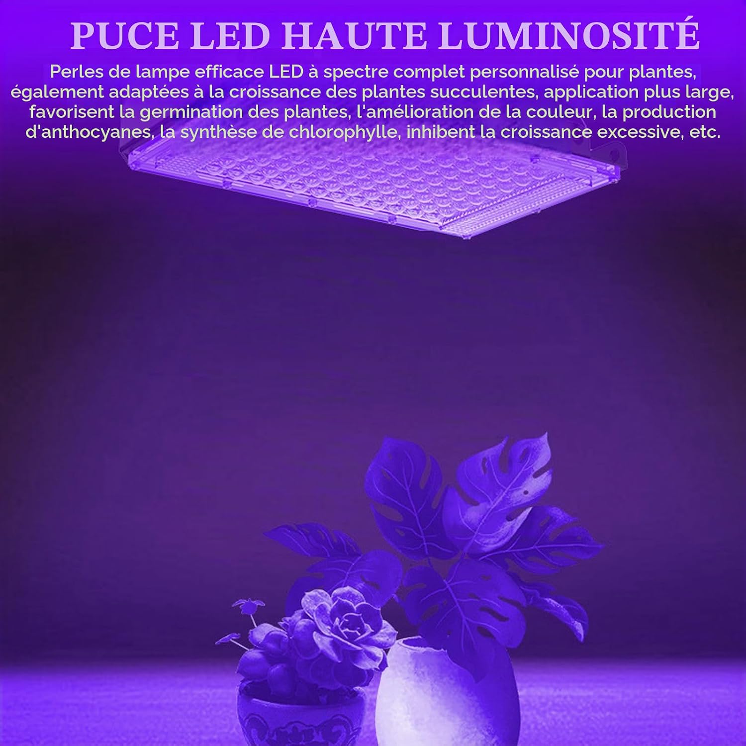 Detalle de BAIFULAI WK743-ZWXD-1P UV-zwartlichtschijnwerper 200 W met 216 leds