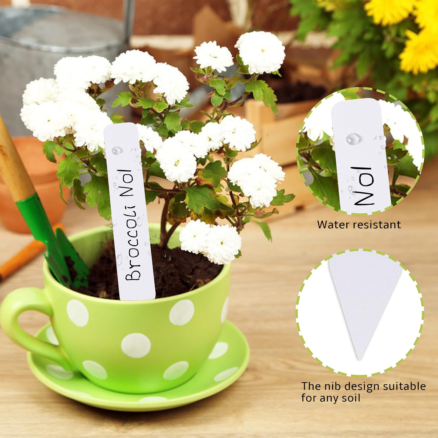 Thumbnail 3 de TDHDIKE 4-Inch Plastic Plant Labels, 300-Pack with Permanent Marker