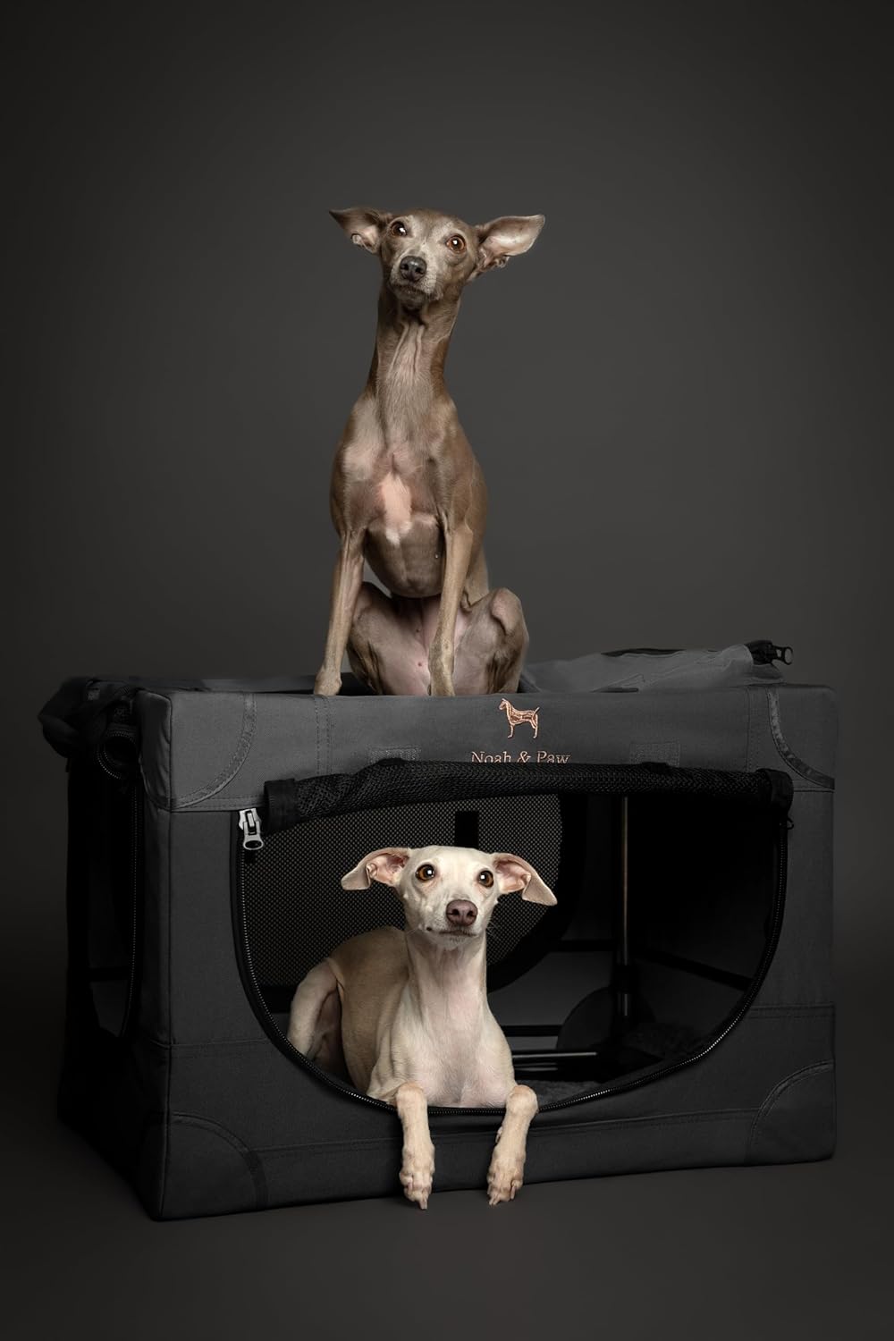 Detalle 2 de Noah & Paw Collapsible Dog Crate 26 Inch – Sturdy travel kennel for small to medium dogs