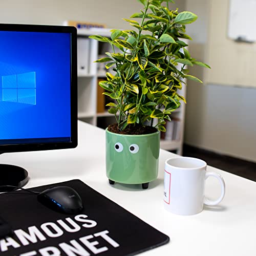 Thumbnail 2 de Fisura Macetero Original ojos 13 x 12,5 cm