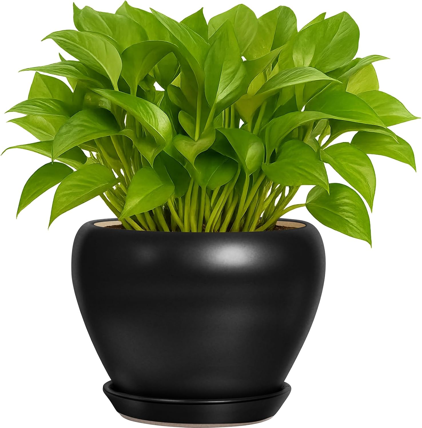 Detalle de Deep Dream 6-Inch Ceramic Planter with Drainage Hole and Tray, Matte Black
