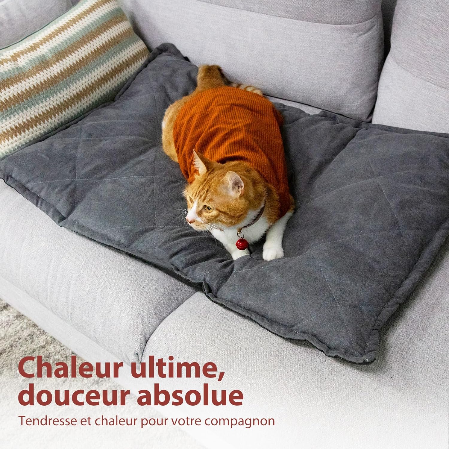 Thumbnail 6 de Mora Pets Coussin auto Chauffant 89x58 cm