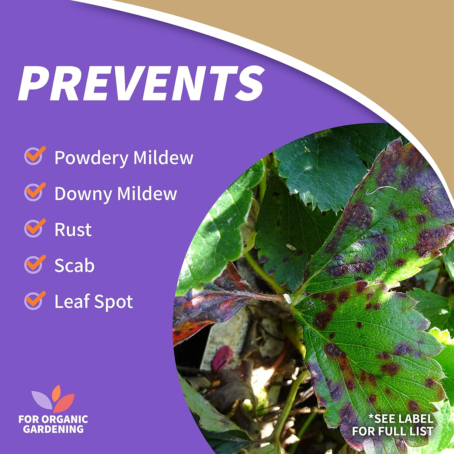 Detalle de Bonide Captain Jack's Neem Oil 32 oz Ready-to-Use Spray: Multi-Purpose Organic Pest Control
