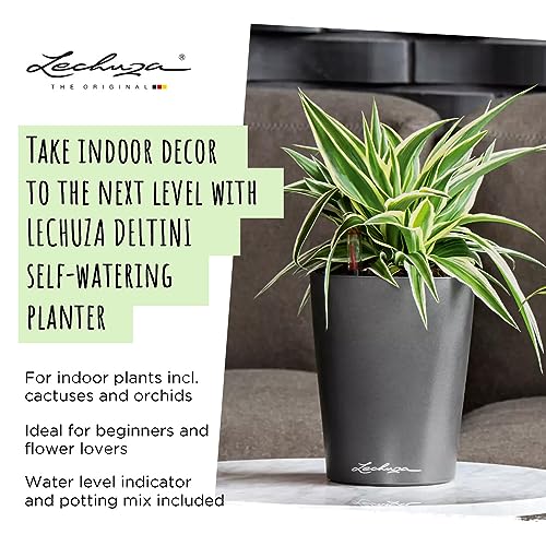 Thumbnail 3 de Lechuza 14904 Maceta Deltini Premium Kit 🌿 (14x18)