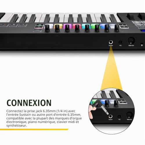 Detalle de Linrax LP1 Pédale Sustain Universelle – Pédale Piano avec Interrupteur de Polarité