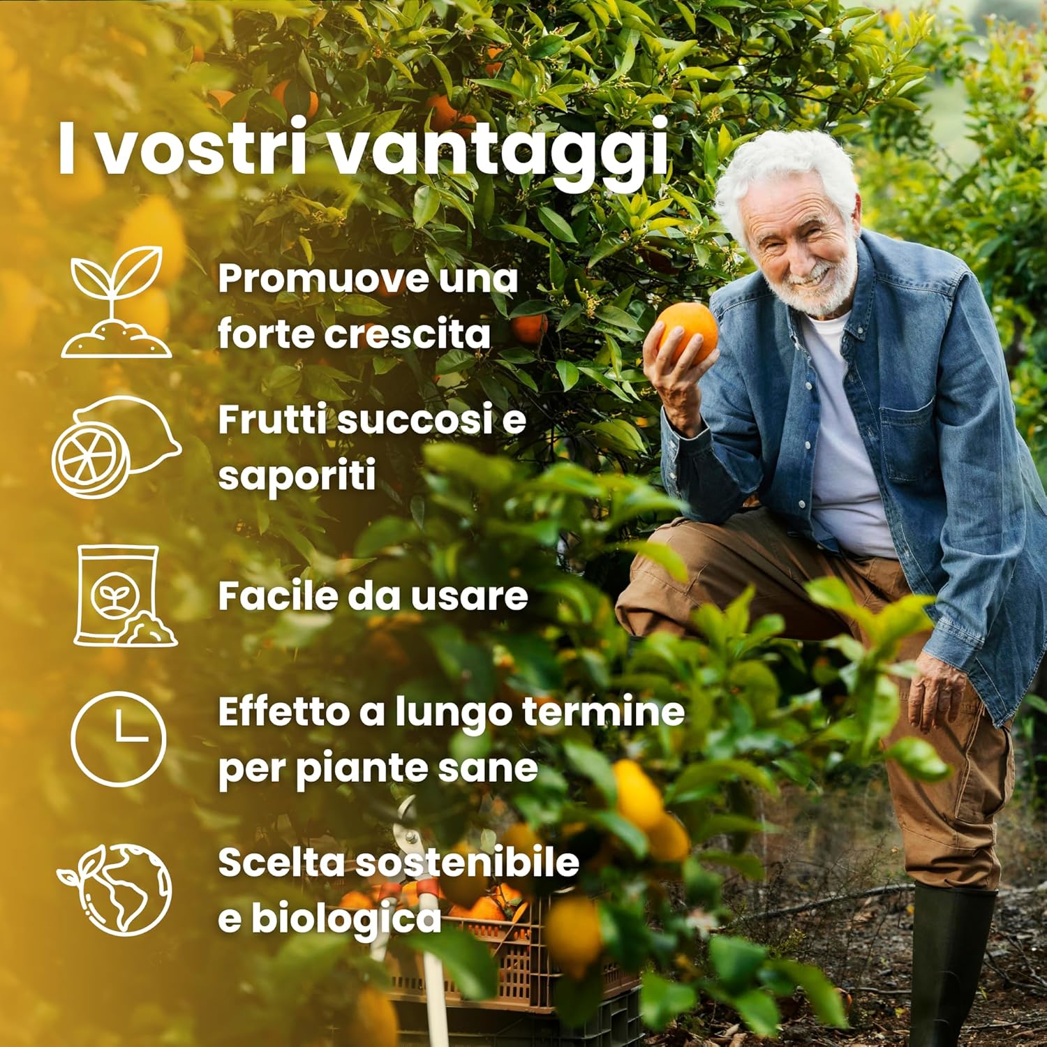 Detalle de LERAVA Concime Agrumi Bio (4x800g): concime biologico per limoni e agrumi, 100% Made in Italy