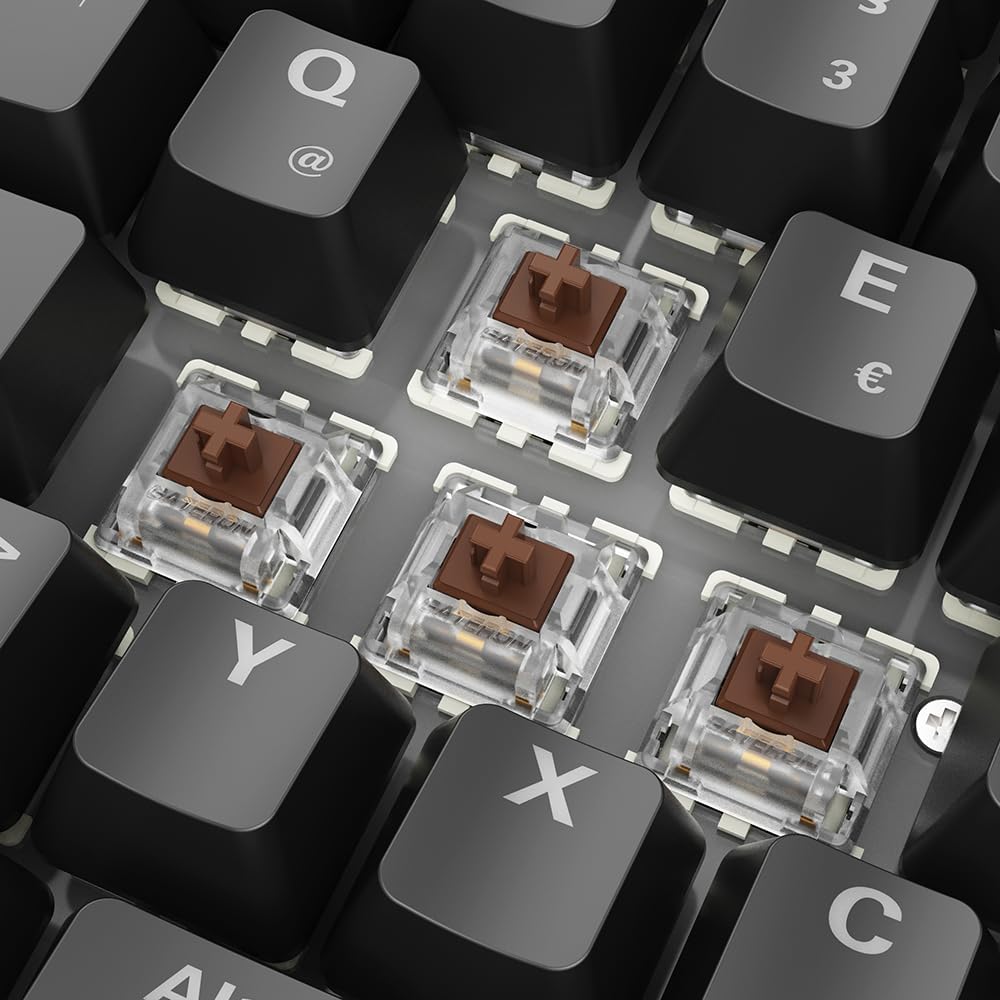 Detalle de Sharkoon SGK50 S2 RGB Tastatur 96%