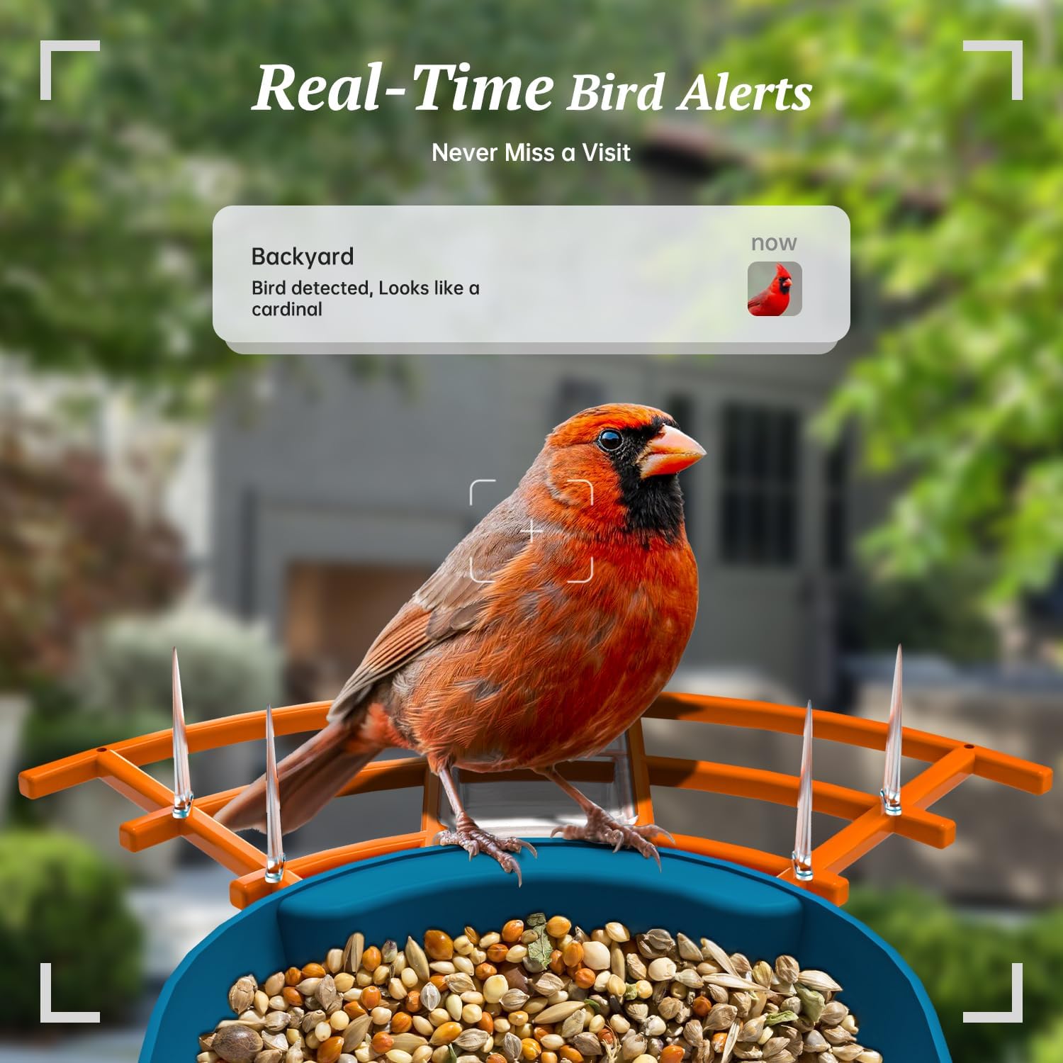 Thumbnail 2 de DOCOON 2K Bird Feeder Camera