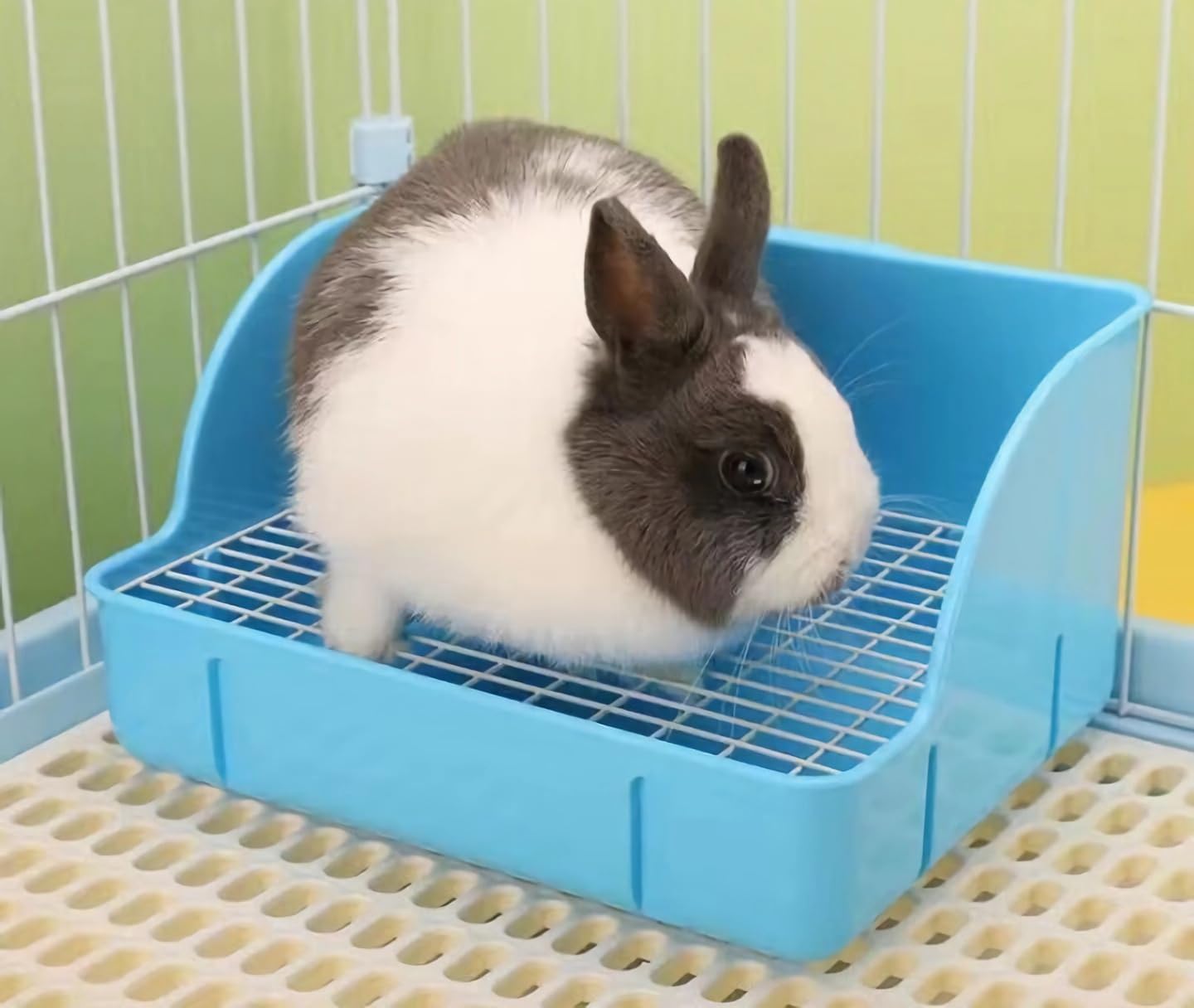 Detalle de Rabbit Litter Box Premium Steel Mesh 1 Large ๐
