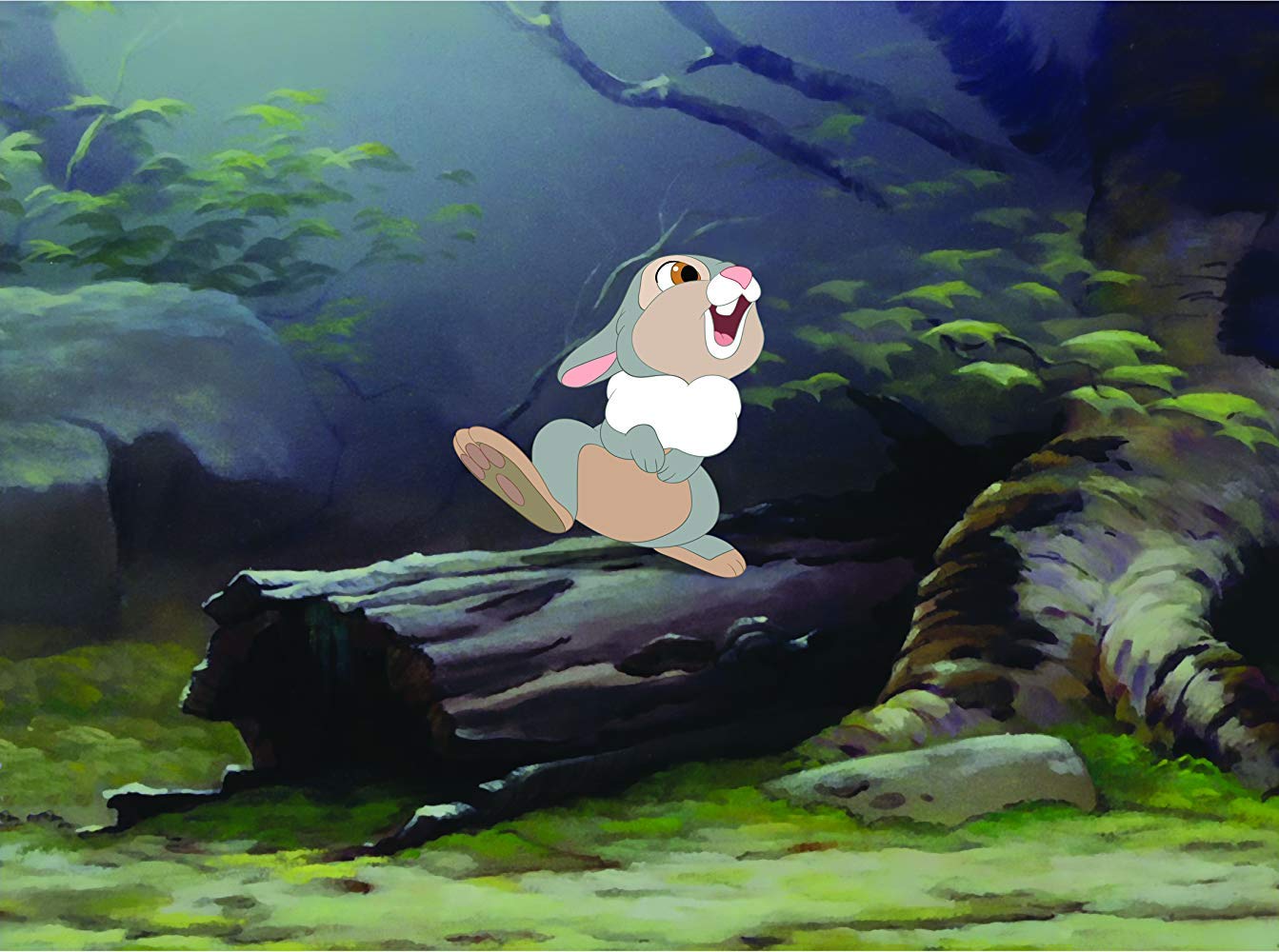 Thumbnail 4 de Divisa HV Bambi (2014) DVD