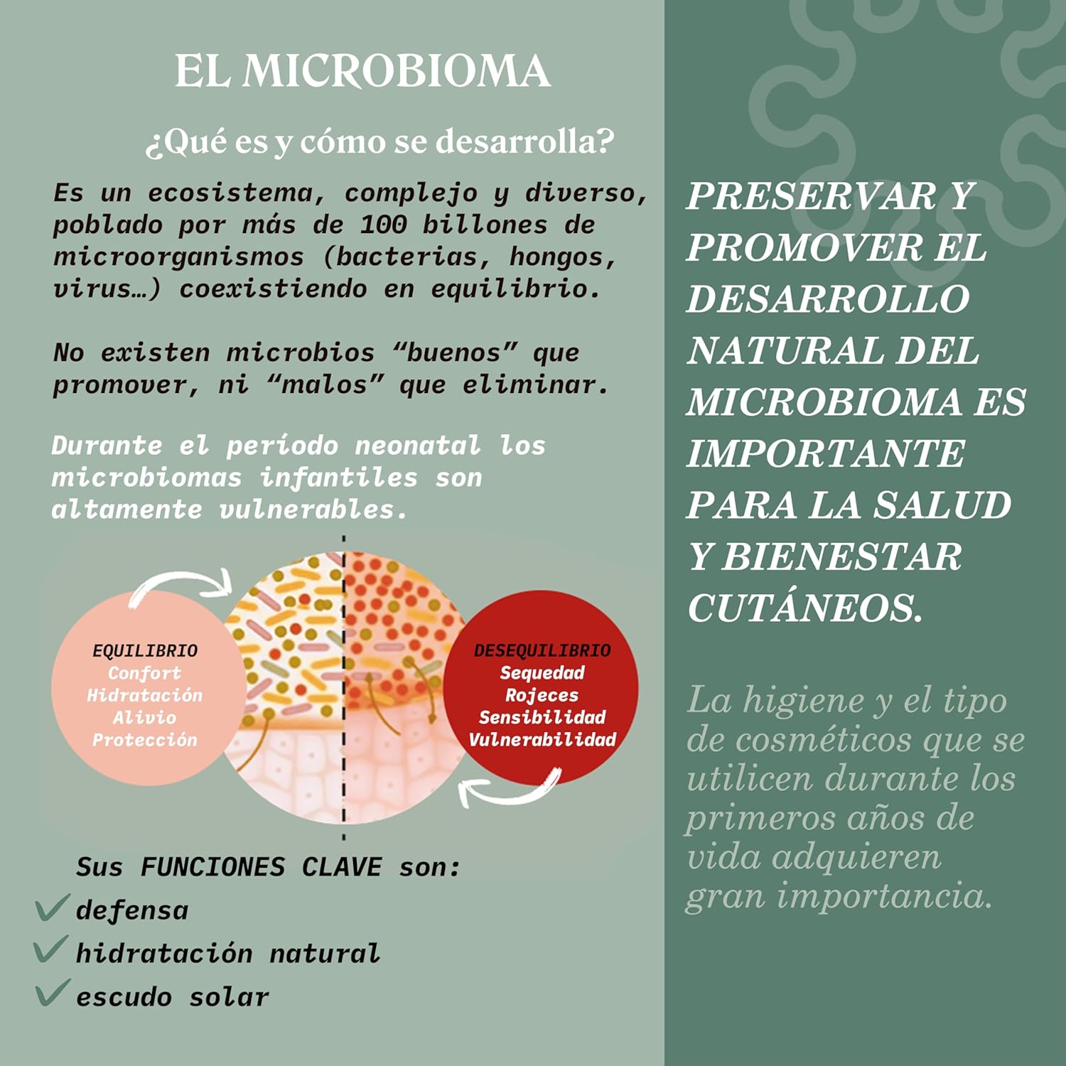 Thumbnail 5 de SUAVINEX Gel Champú bebé 750 ml