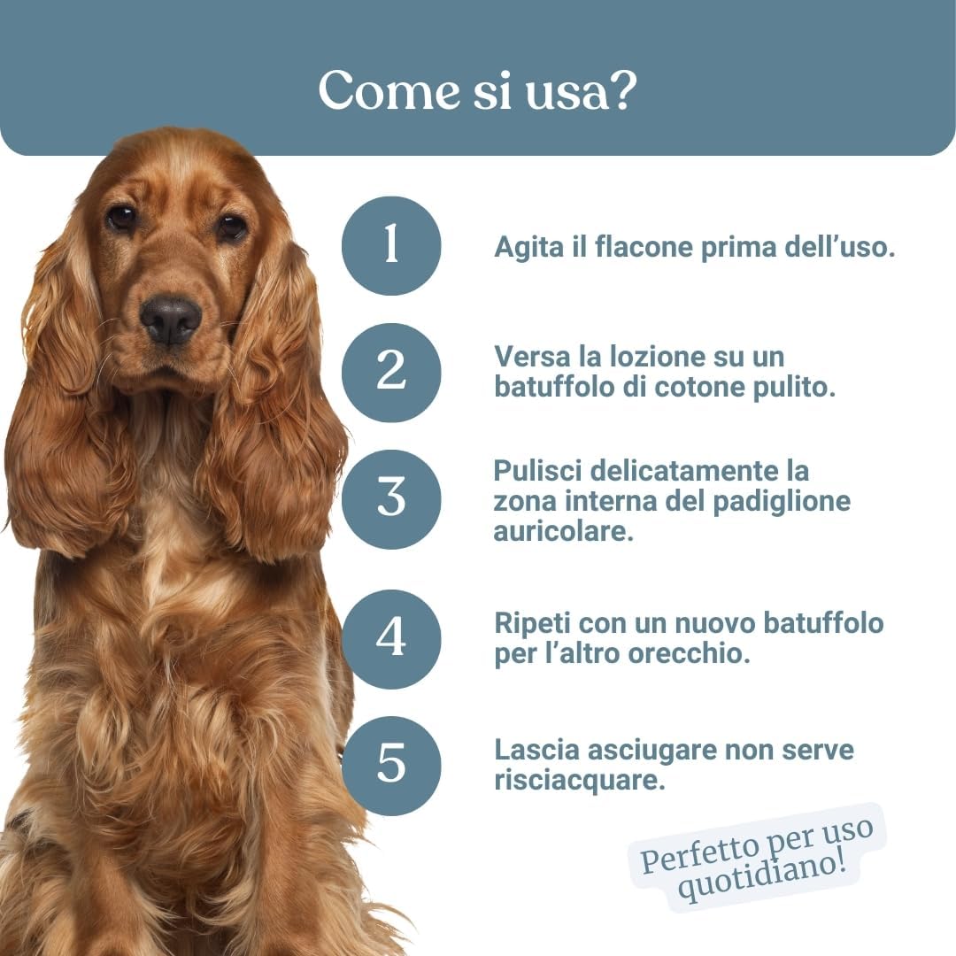 Thumbnail 6 de Bau Pulizia Orecchie Cane Delicata con Aloe Vera, Camomilla e Calendula – Detergente per Orecchie