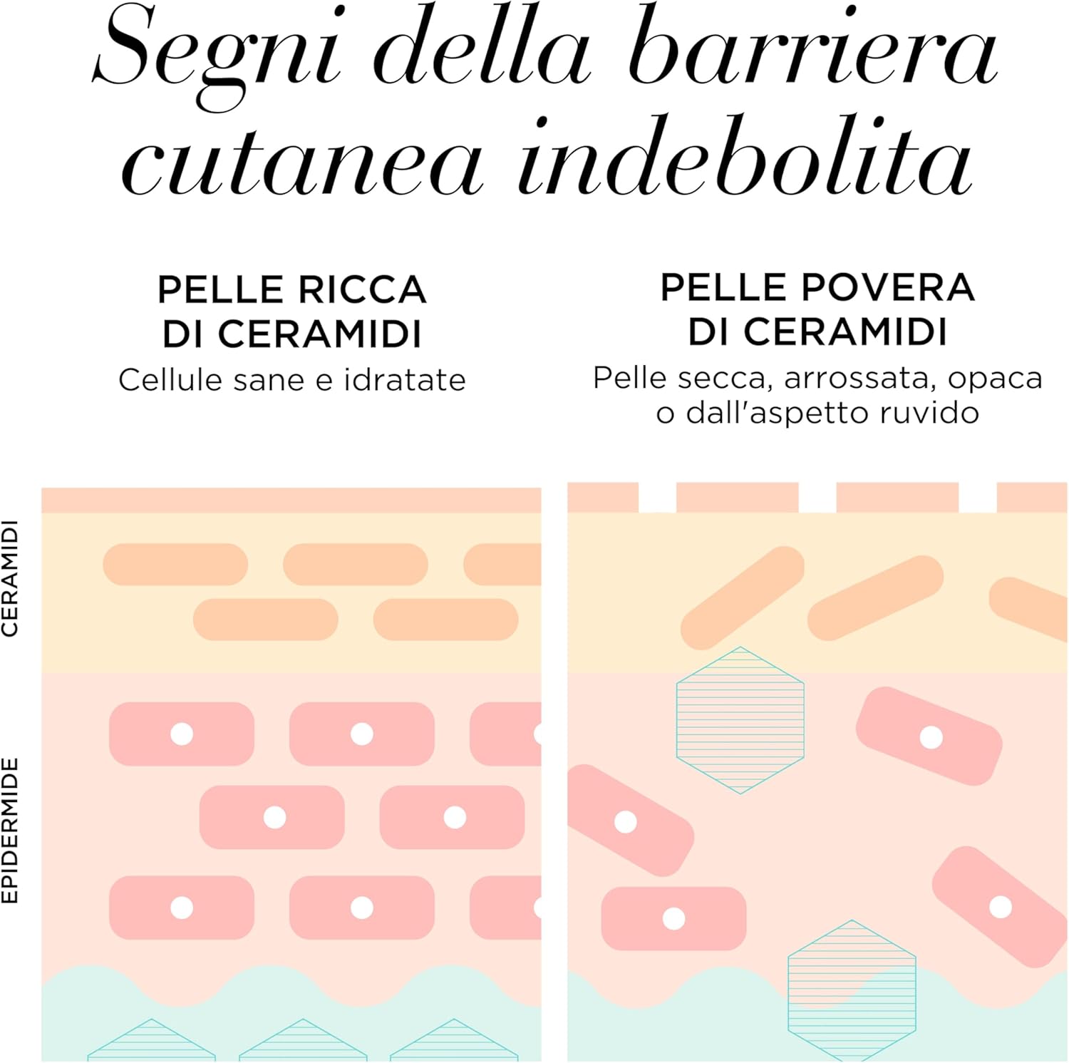 Thumbnail 6 de Elizabeth Arden Advance Ceramide siero occhi 60 capsule