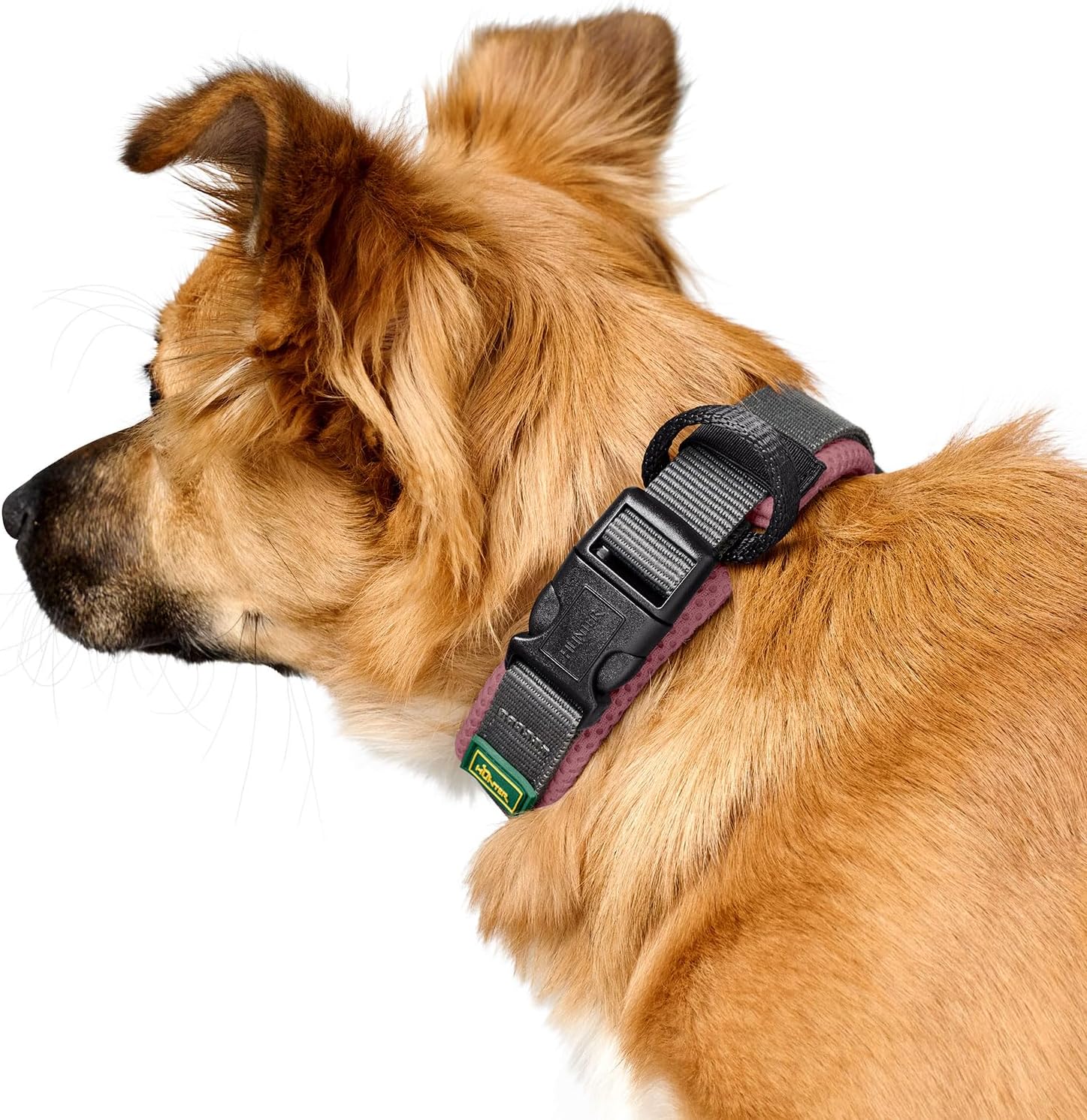 Thumbnail 4 de HUNTER Halsband Maldon in Rosa, atmungsaktives Mesh, Größe S