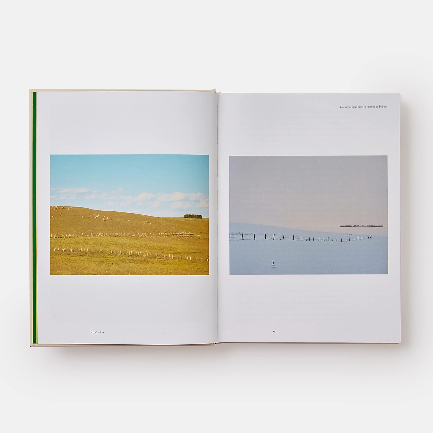 Detalle de Bras, the tastes of aubrac – kookboek over de keuken van Aubrac