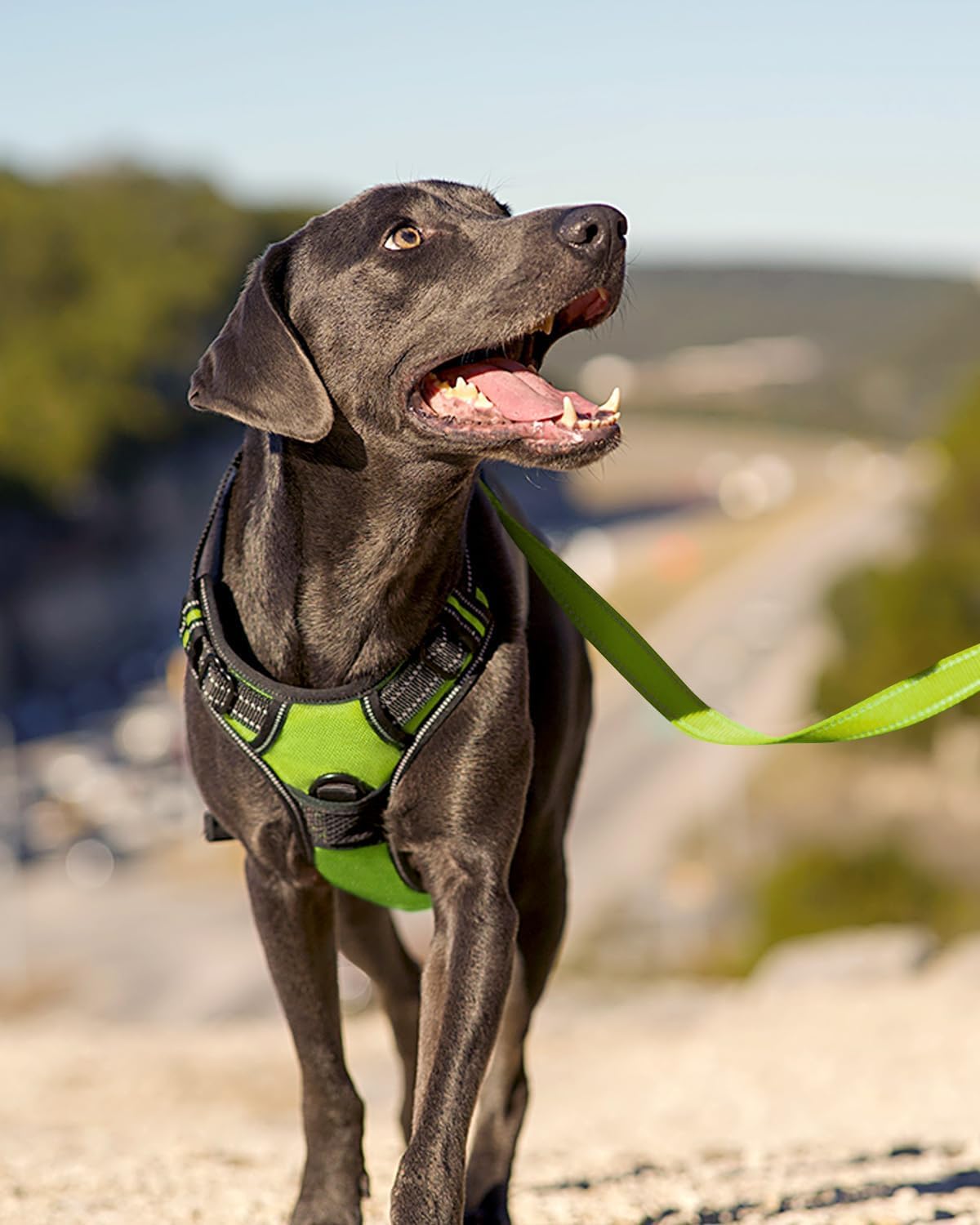 Thumbnail 5 de Joytale reflektierendes Anti-Zug Hundegeschirr mittelgroße Hunde, verstellbar mit Führgriff (Grün, S)