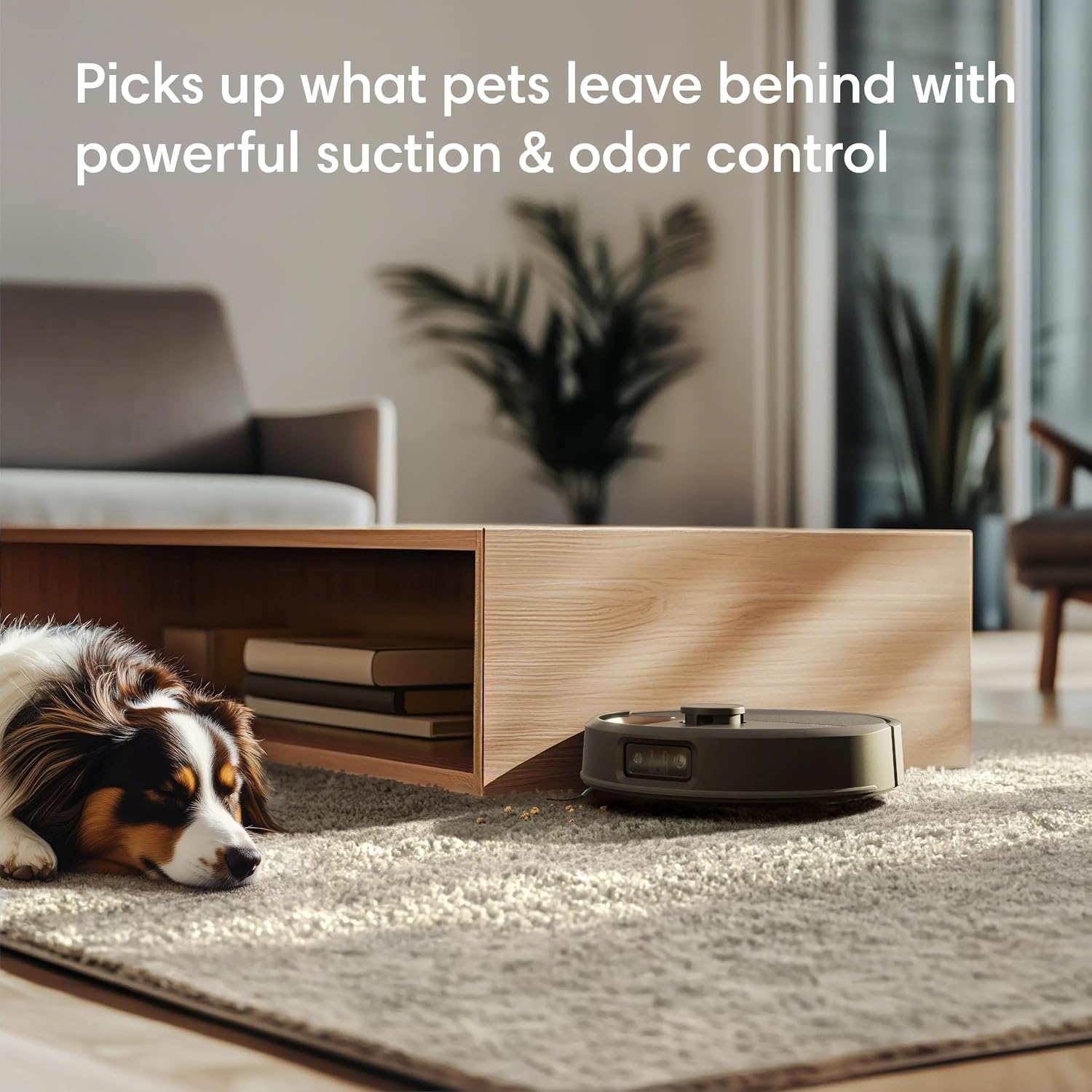 Detalle de iRobot Robot Vacuum 30,000Pa Suction