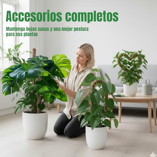 Thumbnail 6 de McBazel Tutor Monstera 120 cm con Alma de Aluminio y 4 cm de diámetro
