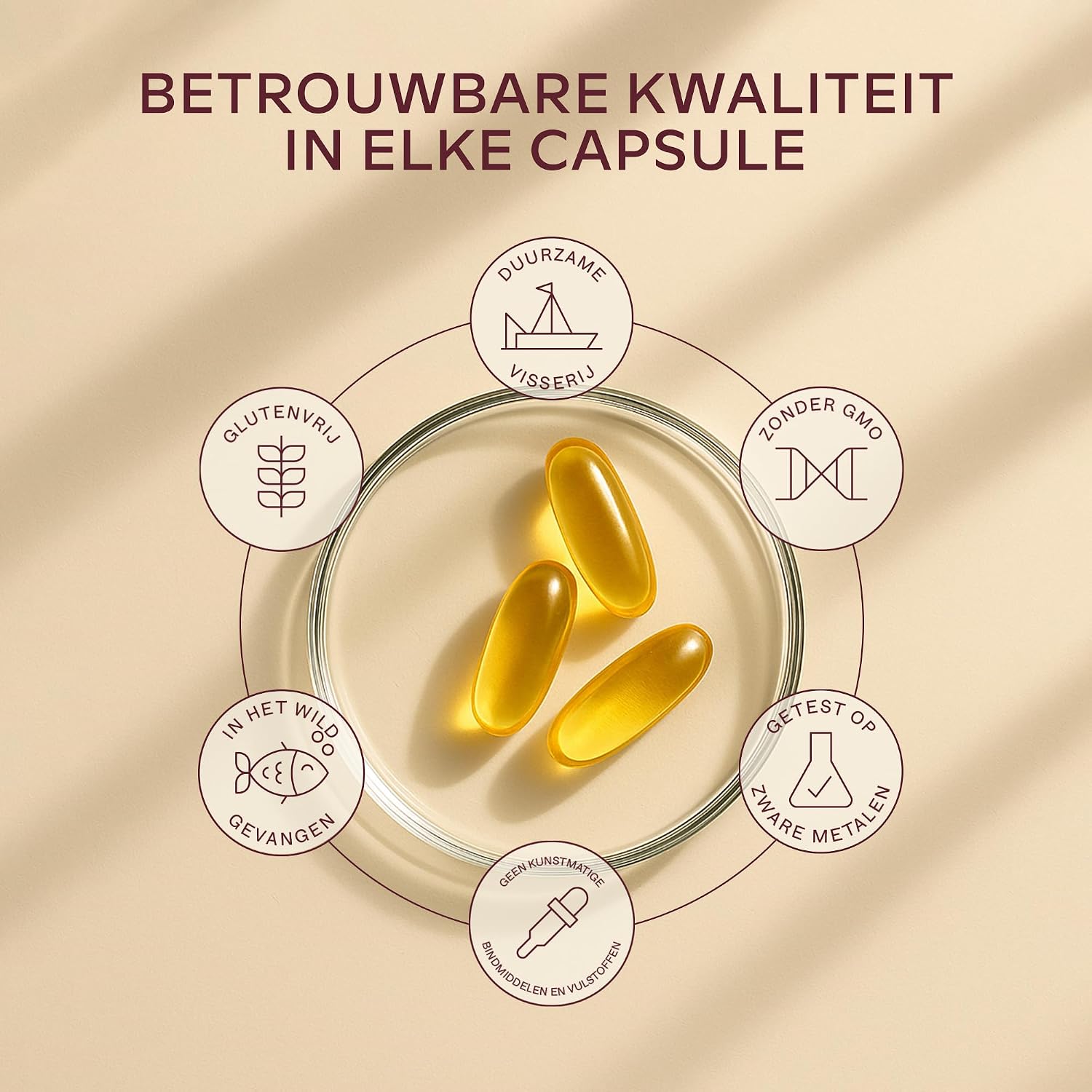 Detalle 2 de AAVALABS Omega 3-visolie, 2.000 mg, 1.000 mg EPA en 500 mg DHA, 120 softgels