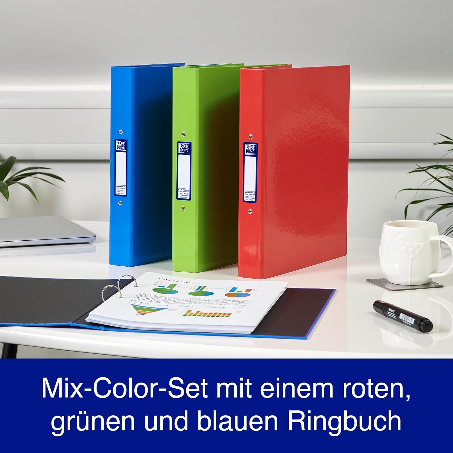 Detalle de Oxford Ringbuch A4, 4 cm Rücken, 2‑Ring, Mixfarben (Rot/Grün/Blau) – 3 Stück