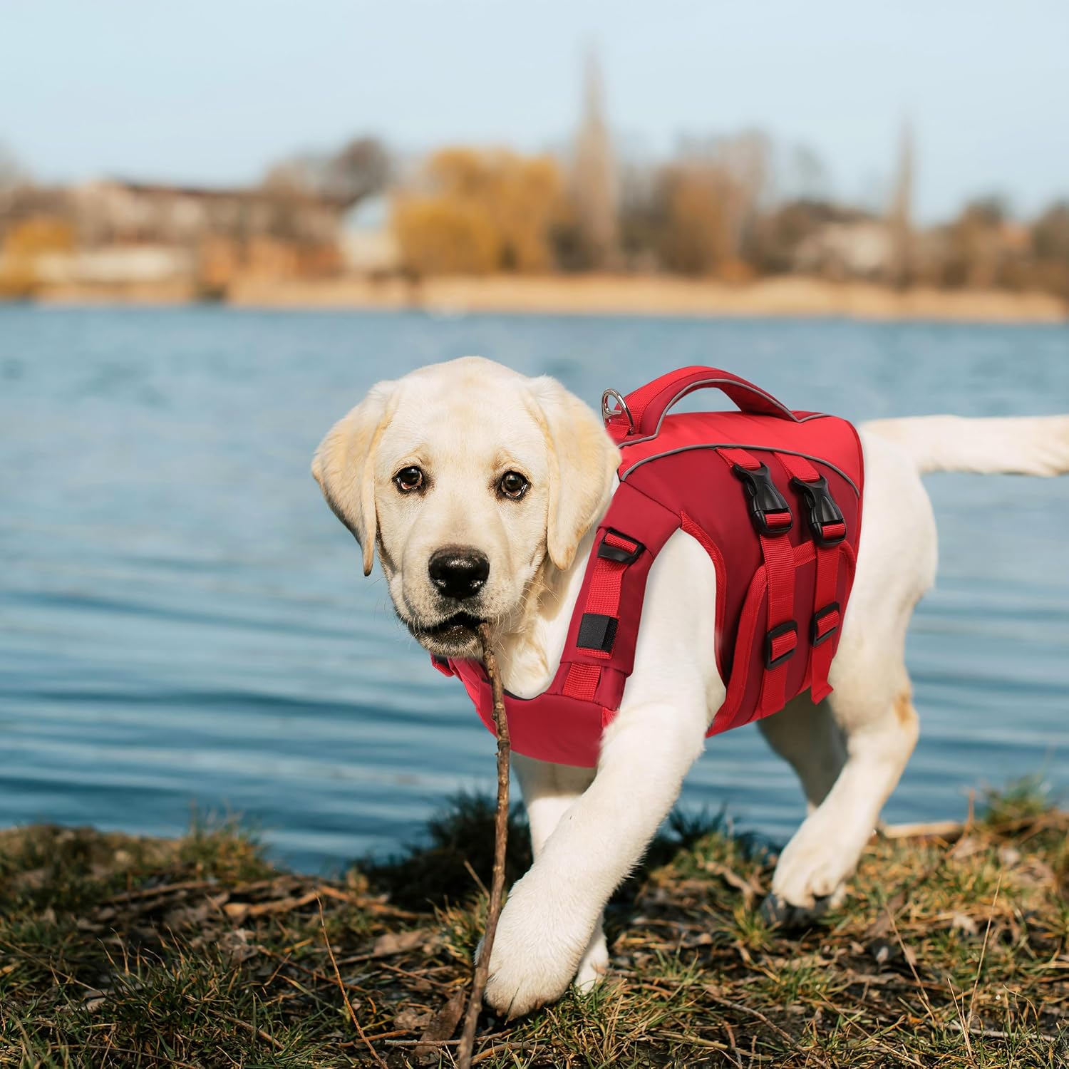 Thumbnail 6 de Queenmore Large Dog Life Vest: Reflective, Adjustable & Easy Rescue Handle (XXL, Red)