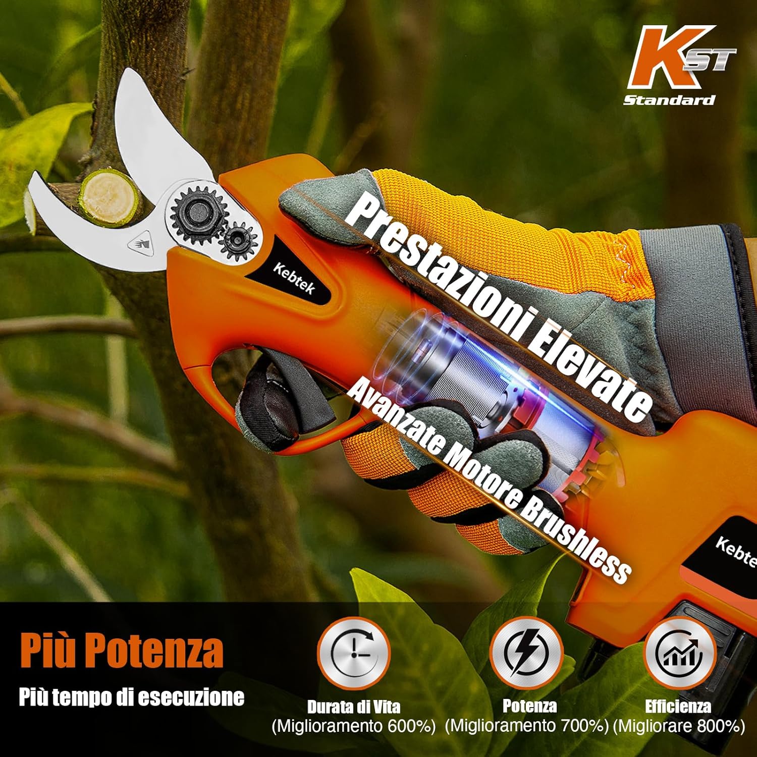 Detalle 2 de Kebtek YDN-B007 Forbici potatura 25 mm ✂
