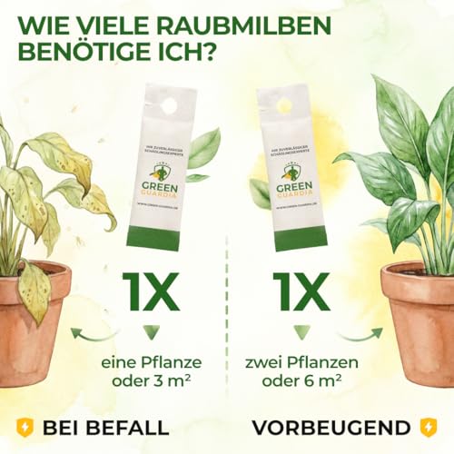 Detalle de GREEN GUARDIA Power Raubmilben gegen Thripse – 15x Tüten