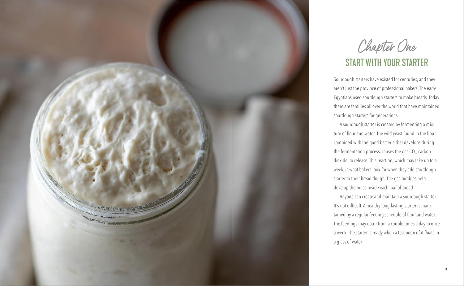 Thumbnail 6 de Starter Sourdough: Step-by-Step Baking Guide for Bread, Baguettes & Pancakes