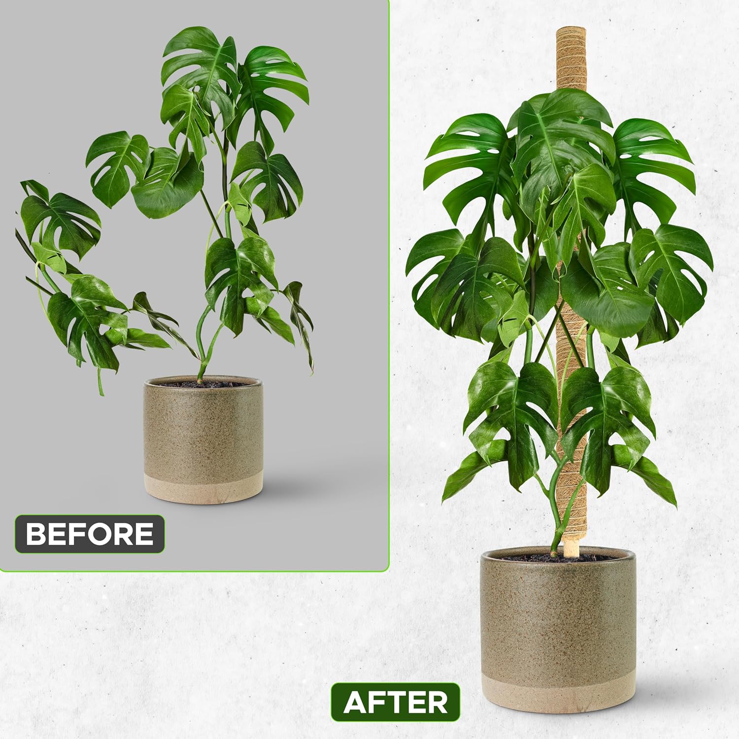 Detalle de EcoNour EcoMP Coir Moss Pole Set, Stackable Plant Supports