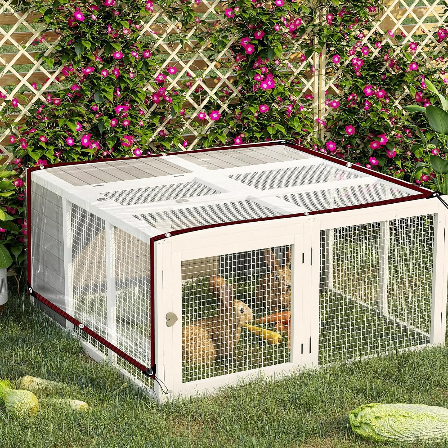 Thumbnail 5 de QOFLY telone impermeabile trasparente con occhielli grandi 98x131 FT (3x4 m)