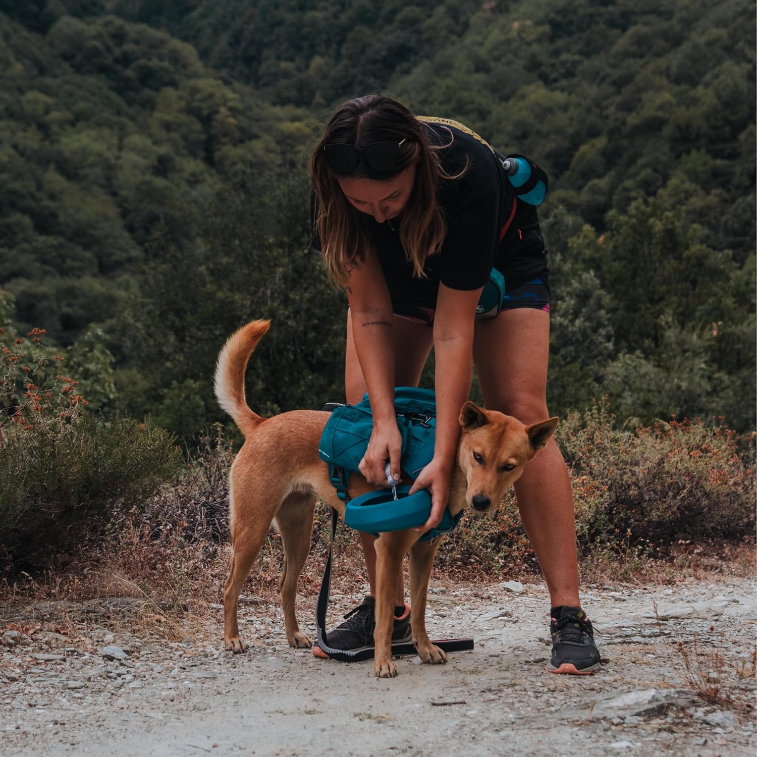 Thumbnail 4 de Kurgo RSG Hydration Flask: Wasserflaschenbeutel für Hundegeschirr – 354 ml BPA-frei, MOLLE-kompatibel, abnehmbare Tasche (Blau)